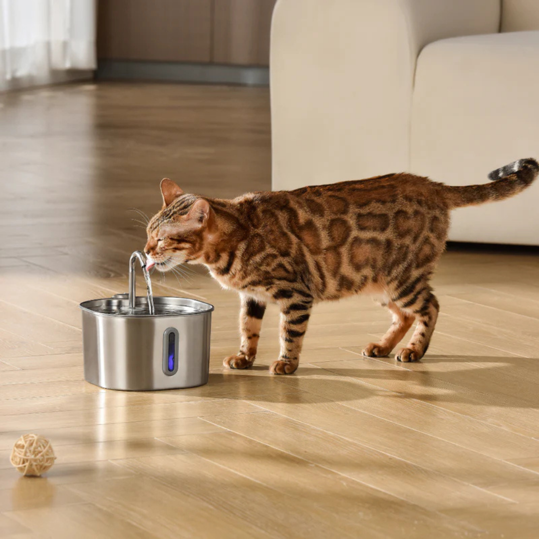 HydroPet™ - 2.2l Vattenfontän